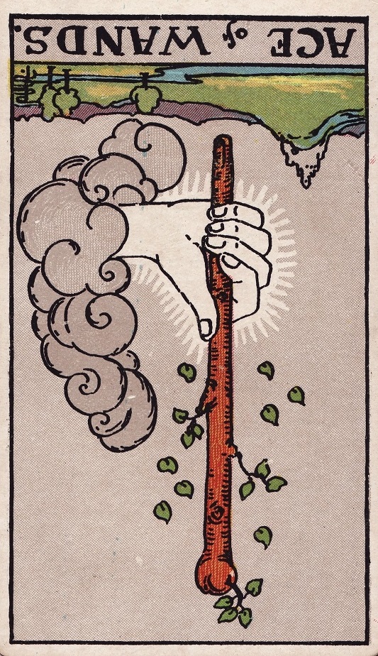 ace of wands reversed