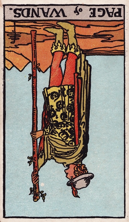 A Page Of Wands Reversed 