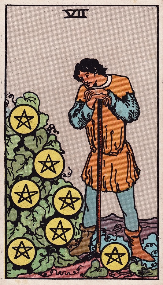 seven of pentacles