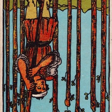ab nine of wands reversed