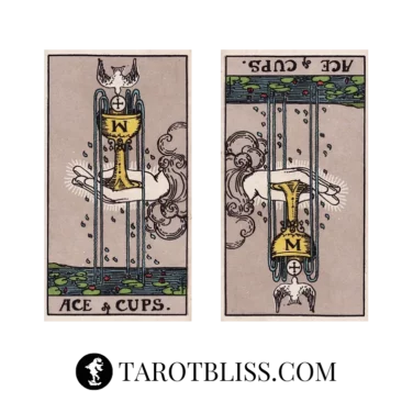 Ace of Cups Tarot Card Meaning: Love, Money, Health & More