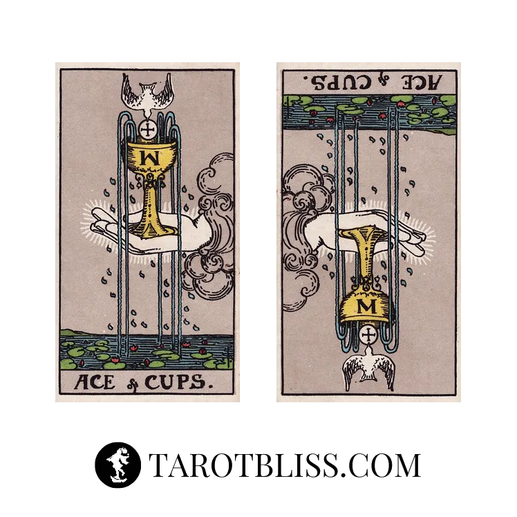 Ace of Cups Tarot Card Meaning: Love, Money, Health & More