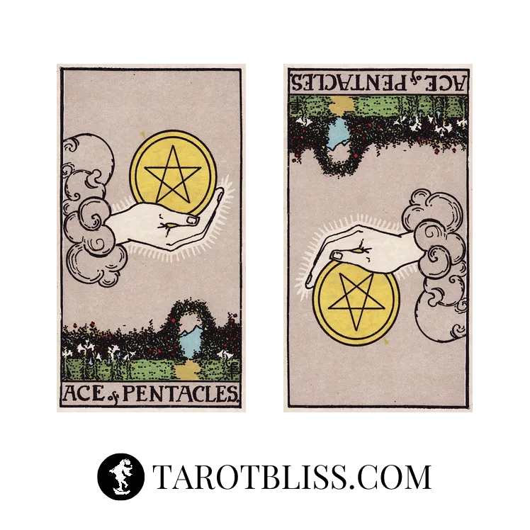 Ace of Pentacles Tarot Card Meaning: Love, Health, Money & More