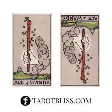 Ace of Wands Tarot Card Meaning: Love, Health, Work & More