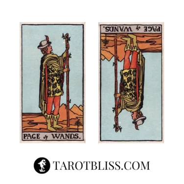 Page of Wands Tarot Card Meaning: Love, Health, Work & More
