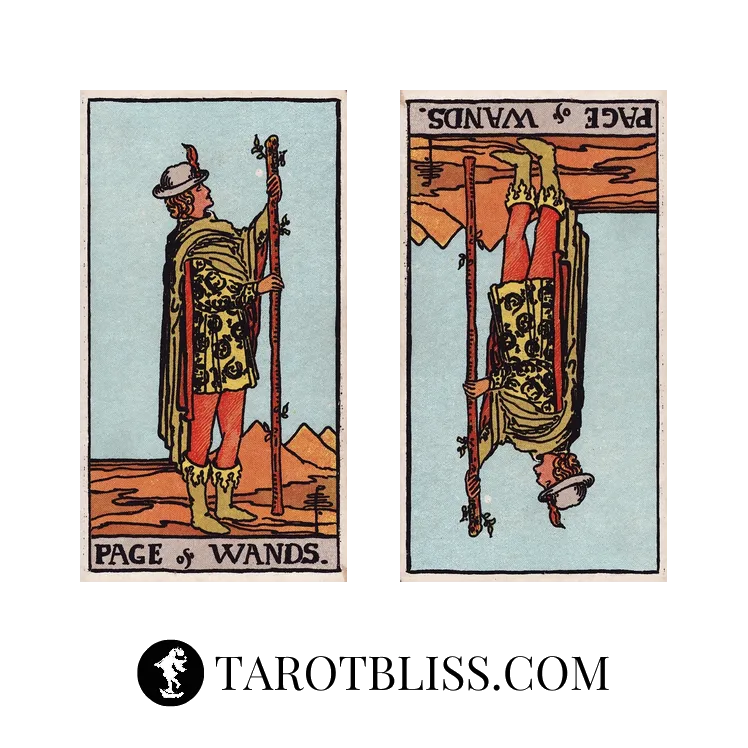 Page of Wands Tarot Card Meaning: Love, Health, Work & More