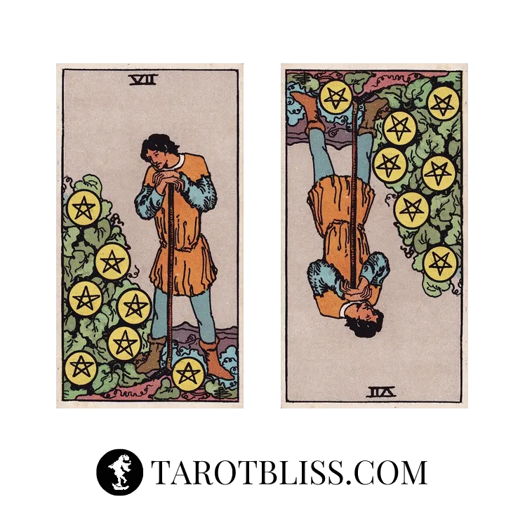 Seven of Pentacles Tarot Card Meaning: Love, Health, Work & More