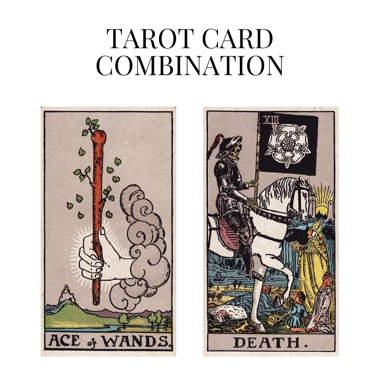 ace of wands and death tarot cards combination meaning