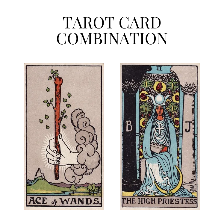 ace of wands and the high priestess tarot cards combination meaning