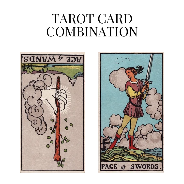 ace of wands reversed and page of swords tarot cards combination meaning