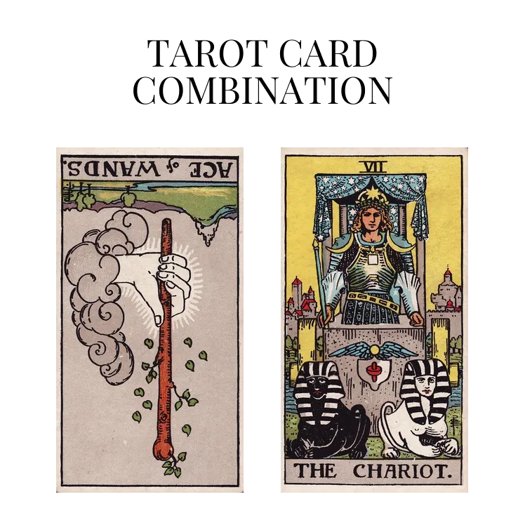 ace of wands reversed and the chariot tarot cards combination meaning