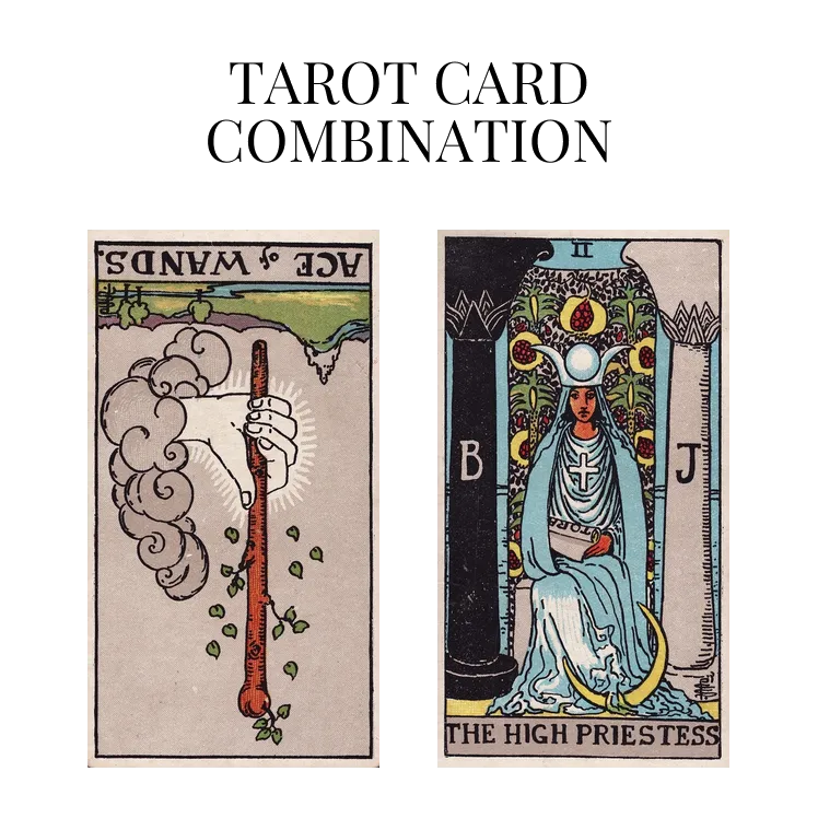 ace of wands reversed and the high priestess tarot cards combination meaning