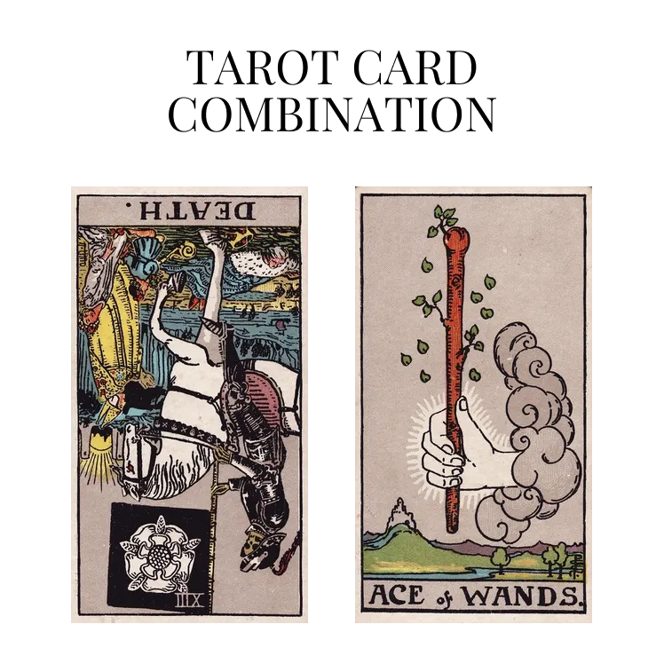 death-reversed-and-ace-of-wands-tarot-cards-meaning