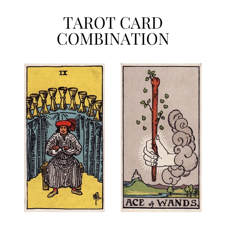 nine of cups and ace of wands tarot cards combination meaning