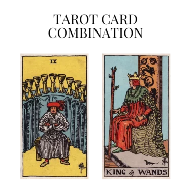 nine of cups and king of wands tarot cards combination meaning