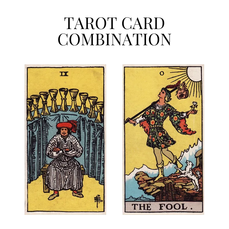 nine of cups and the fool tarot cards combination meaning