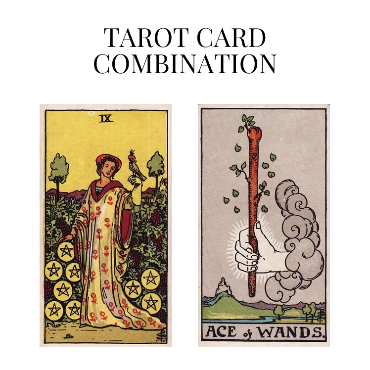 nine of pentacles and ace of wands tarot cards combination meaning
