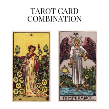 nine of pentacles and temperance tarot cards combination meaning