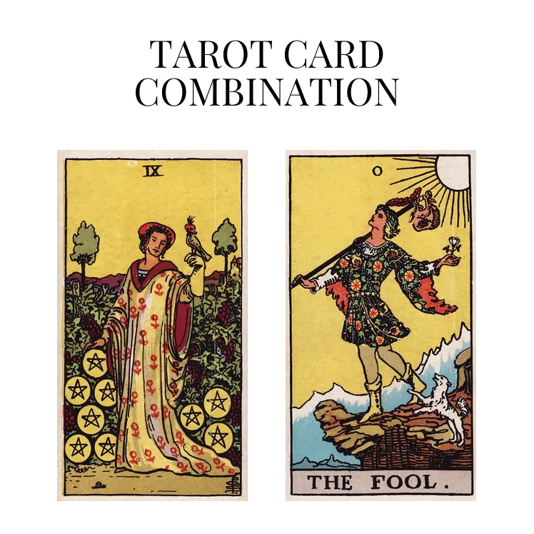 nine of pentacles and the fool tarot cards combination meaning