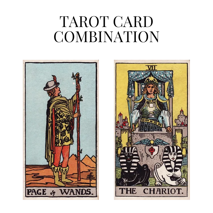 page of wands and the chariot tarot cards combination meaning