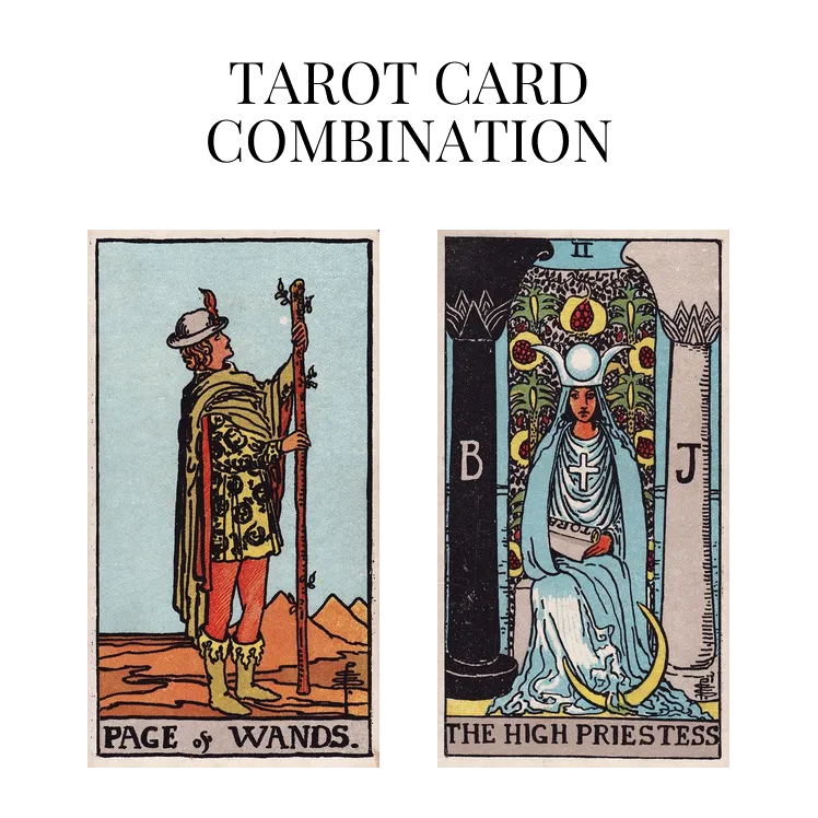 page of wands and the high priestess tarot cards combination meaning