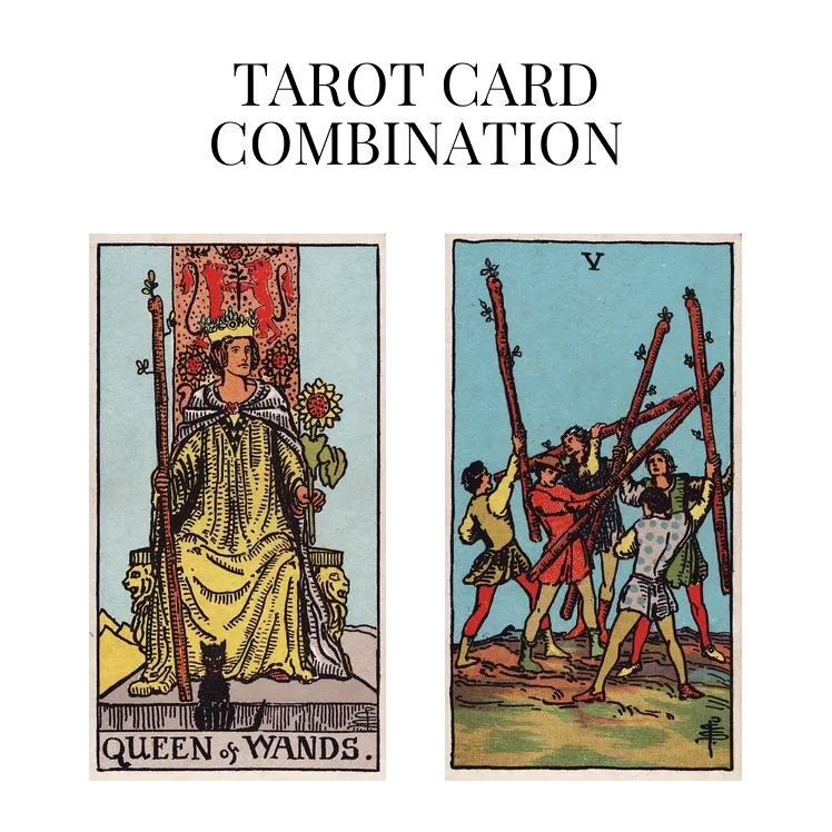 queen of wands and five of wands tarot cards combination meaning