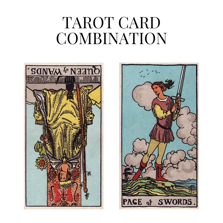 queen of wands reversed and page of swords tarot cards combination meaning