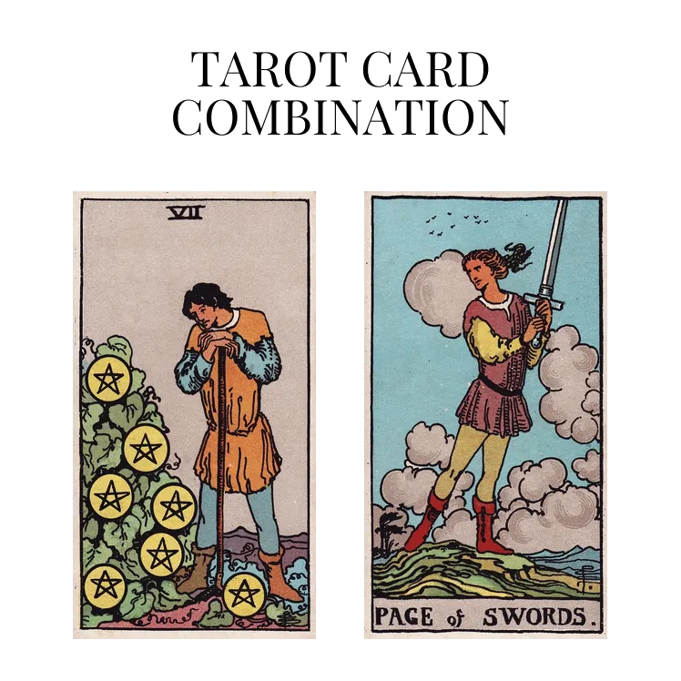 seven of pentacles and page of swords tarot cards combination meaning